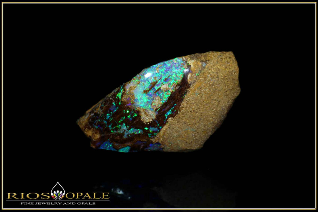 Black Gate Boulder opalized wood opal - 32,51ct