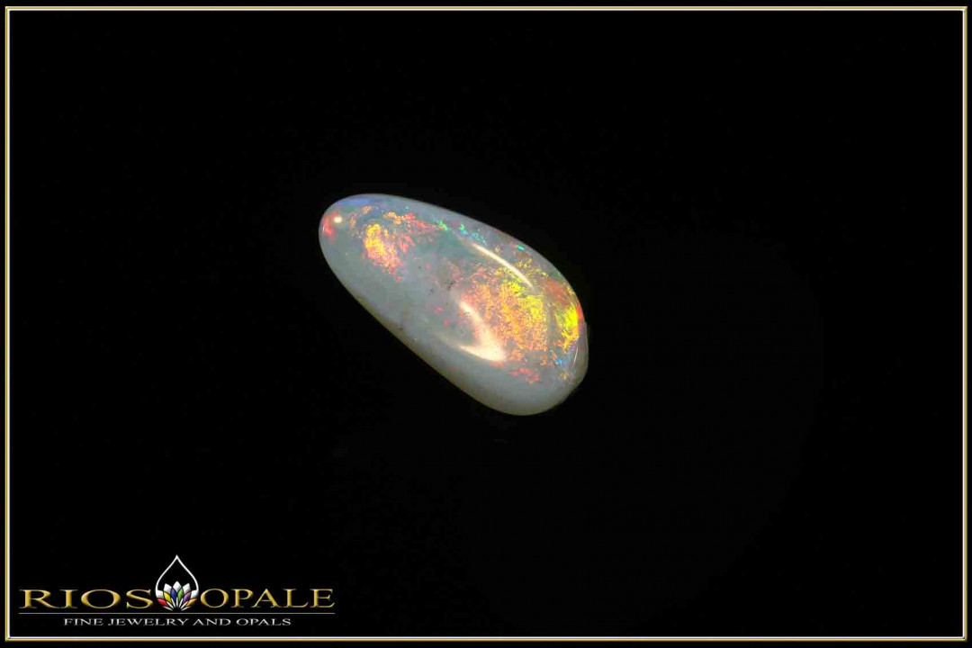 Coober Pedy Shell Opal Stone  1,23ct