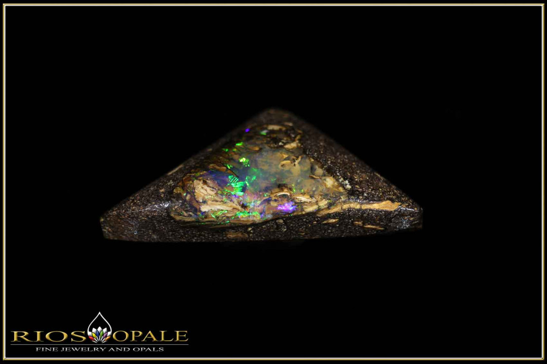 Winton opalized wood Boulder Opal - 20,32ct
