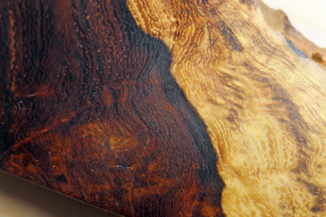 Precious wood picture unique Desert ironwood burl