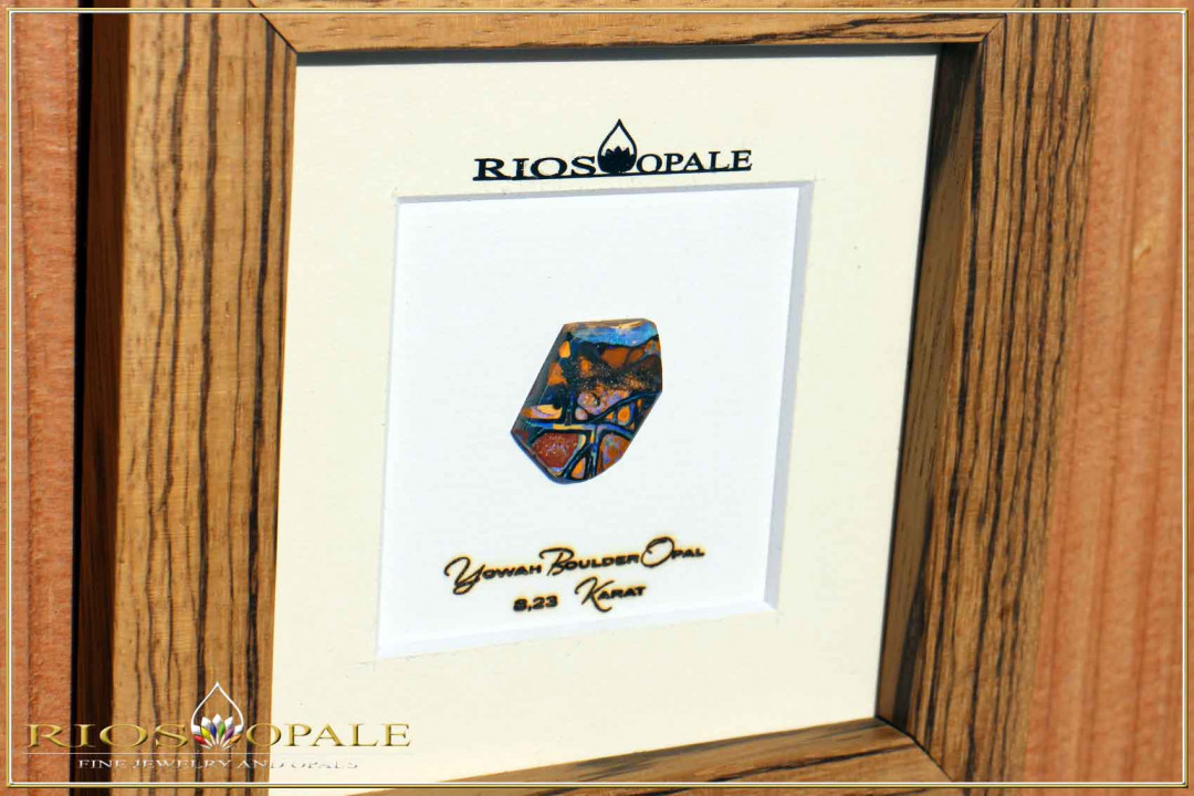 Yowah Boulder Opal - 8,23ct - Black Edition in 12x12cm Zebrano wood frame