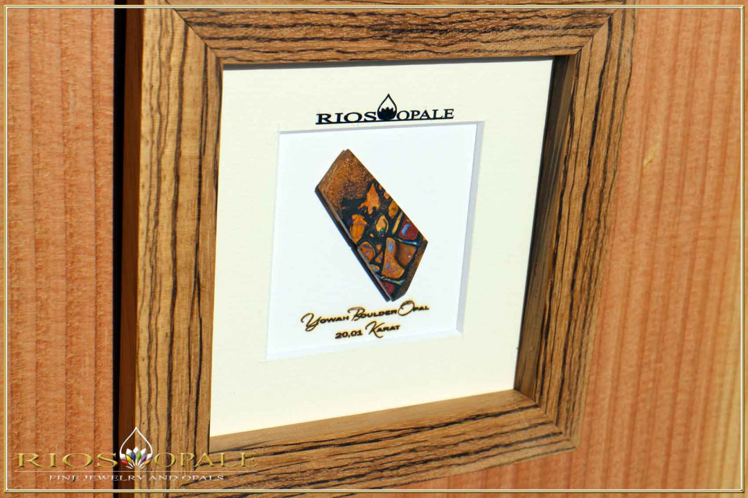 Yowah Matrix Boulder Opal - 20,01ct - Black Edition in 12x12cm Zebrano wood Frame