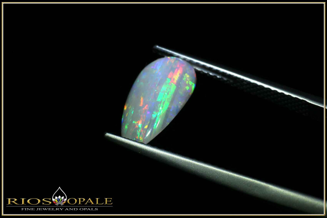Coober Pedy opalized shell - 1.00ct