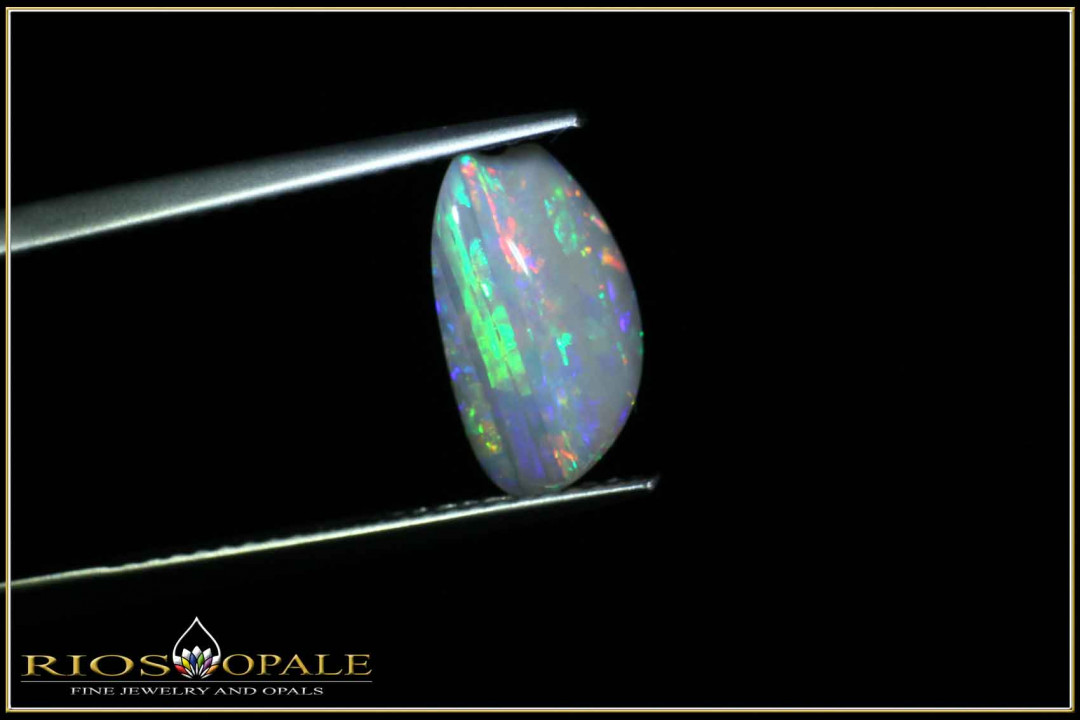 Coober Pedy opalized shell - 1.00ct