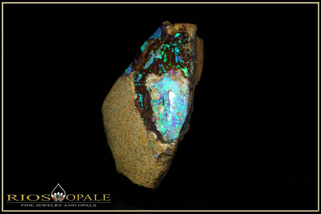 Black Gate Boulder opalized wood opal - 32,51ct