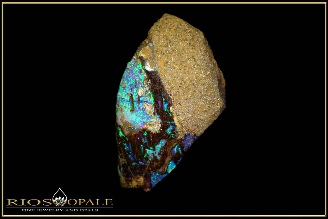 Black Gate Boulder opalized wood opal - 32,51ct