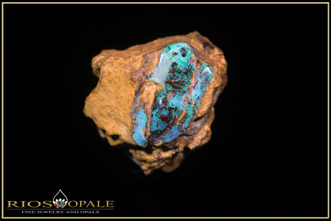 Yowah opalized wood boulder opal polished in mother rock - 31,01ct