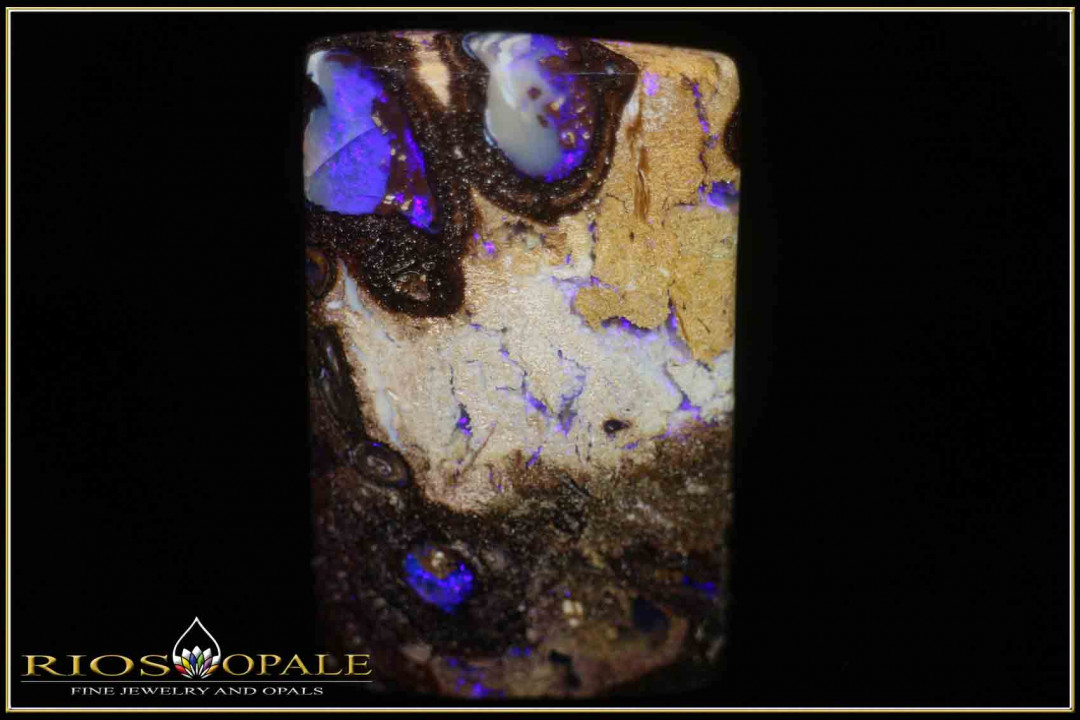 Jundah Opalized Wood Boulder Opal - 71,47ct