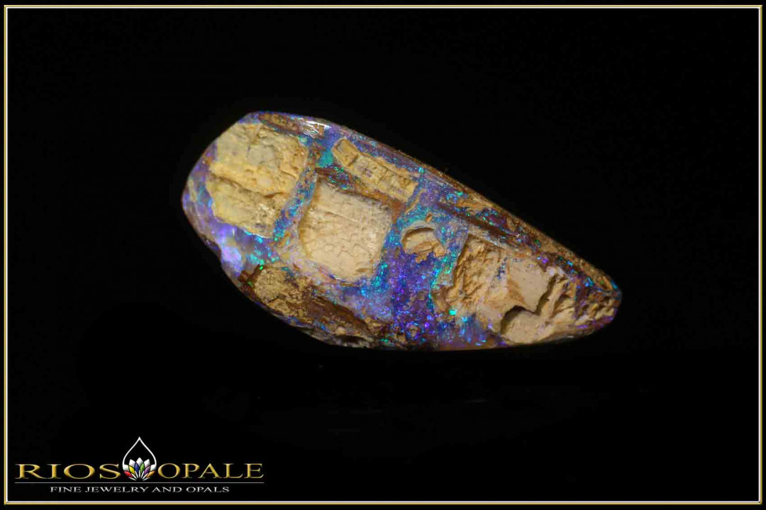 Jundah opalized wood boulder opal - 13,52ct