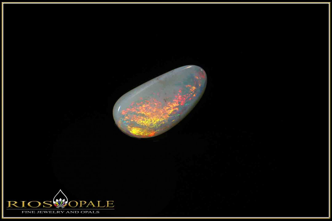 Coober Pedy Shell Opal Stone  1,23ct